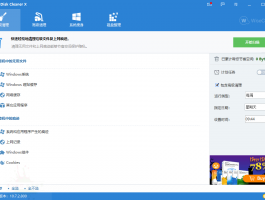 Wise Disk Cleaner v11.2.0.837绿色版